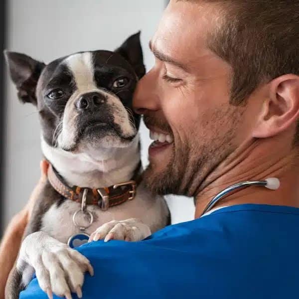 new-client-promotion-1 Vet holding a dog