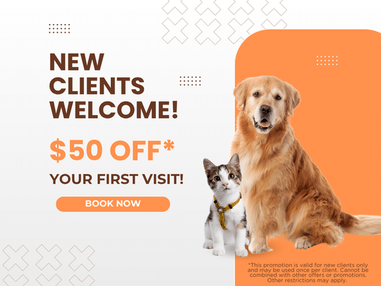 New Client Promotion